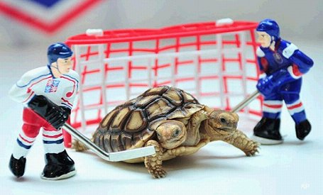 PČ spēles Bratislavā prognozēs bruņurupuciene Magdalēna PČ spēles Bratislavā prognozēs bruņurupuciene Magdalēna