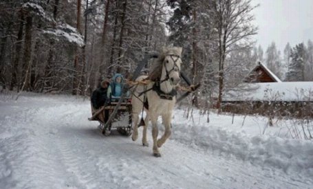 Krievijā izmanto 'ātrās palīdzības' zirga pajūgu